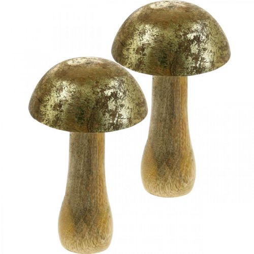 Floristik24 Champignon mango træ guld, naturlig dekorativ svamp Ø9cm H15,5cm 2stk