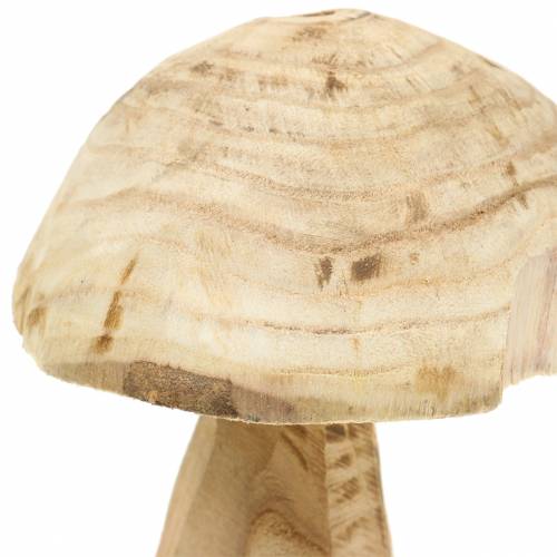 Floristik24 Champignon paulownia træ Ø16cm H18cm