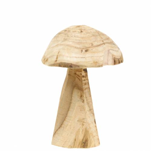 Floristik24 Champignon paulownia træ Ø16cm H18cm