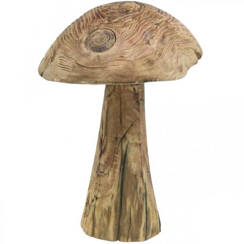 Svampe, paulownia træ, efterår, træ dekoration Ø18–20cm H28cm
