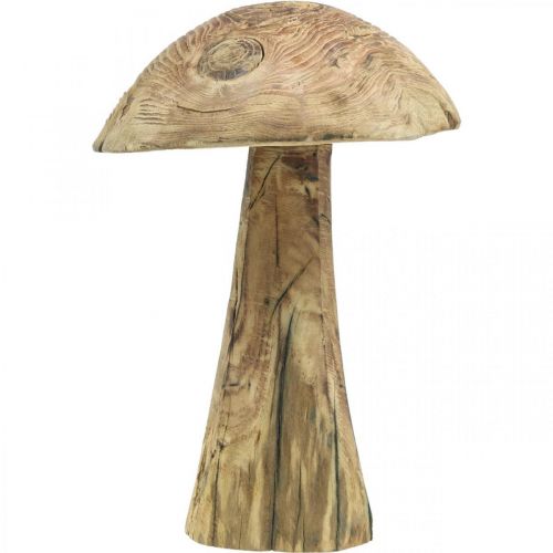 Floristik24 Svampe, paulownia træ, efterår, træ dekoration Ø18–20cm H28cm