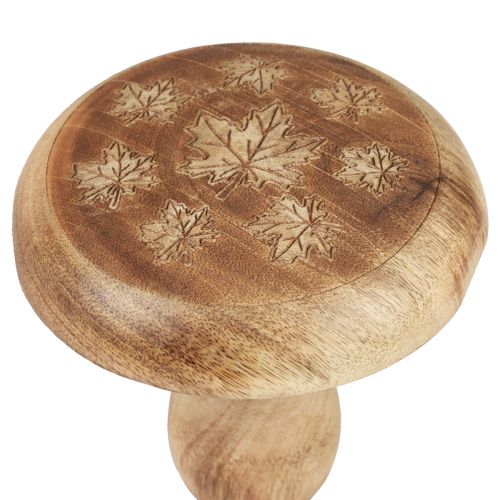 Artikel Træ svampe dekoration svamp træ dekoration naturlig efterårs dekoration Ø15cm H14,5cm