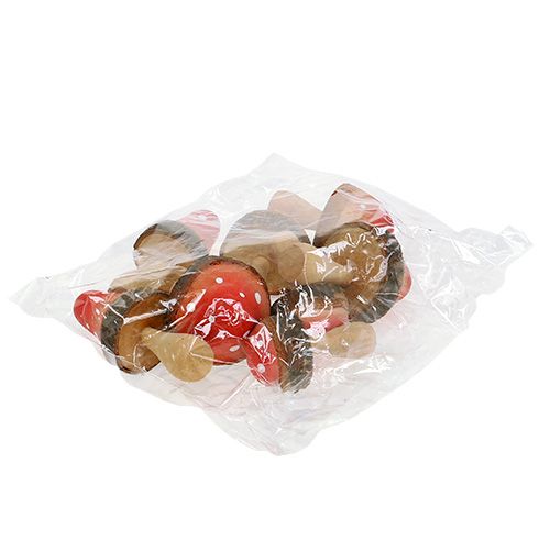 Floristik24 Svampe fra træ blandes 5,5 cm - 8 cm 8 stk
