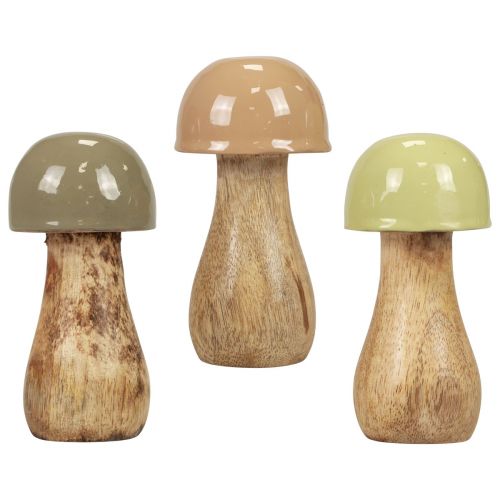 Floristik24 Træsvampe dekorative svampe træbeige, grøn Ø5cm H10,5cm 6 stk.