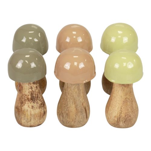Floristik24 Træsvampe dekorative svampe træbeige, grøn Ø5cm H10,5cm 6 stk.