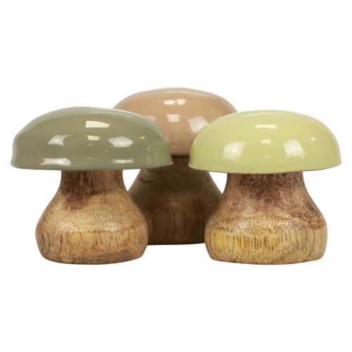 Floristik24 Træsvampe Deco svampe Træ Deco Beige, Grøn Ø5cm H5,5cm 12stk