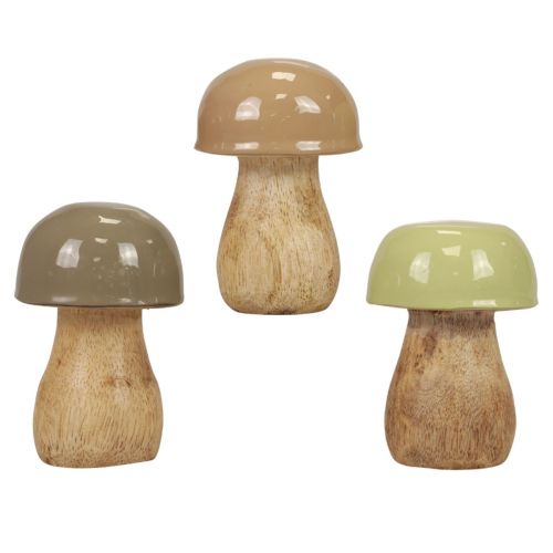 Floristik24 Træsvampe dekorative svampe træbeige, grøn Ø5cm 7,5cm 12 stk.
