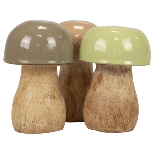 Floristik24 Træsvampe dekorative svampe træbeige, grøn Ø5cm 7,5cm 12 stk.