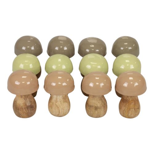 Floristik24 Træsvampe dekorative svampe træbeige, grøn Ø5cm 7,5cm 12 stk.