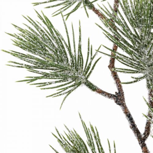 Floristik24 Julegrene Fyrregren Snowed 54cm 3stk i bundt