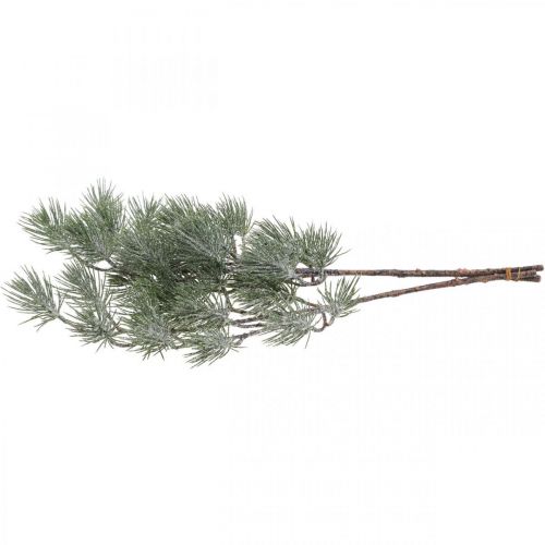 Floristik24 Julegrene Fyrregren Snowed 54cm 3stk i bundt