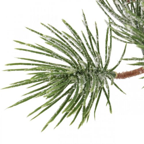 Floristik24 Julegrene kunstig fyrregren sneet 30cm 6stk