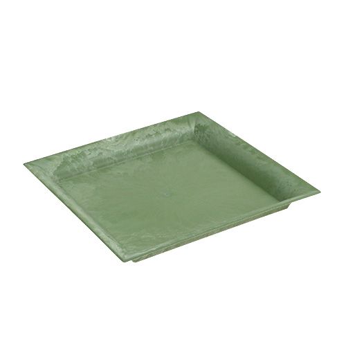 Floristik24 Plastplade grøn firkant 19,5 cm x 19,5 cm