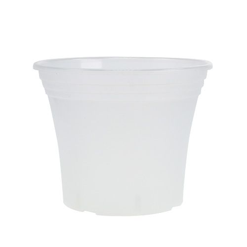 Plastpotte “Irys” gennemsigtig Ø17cm 1 stk