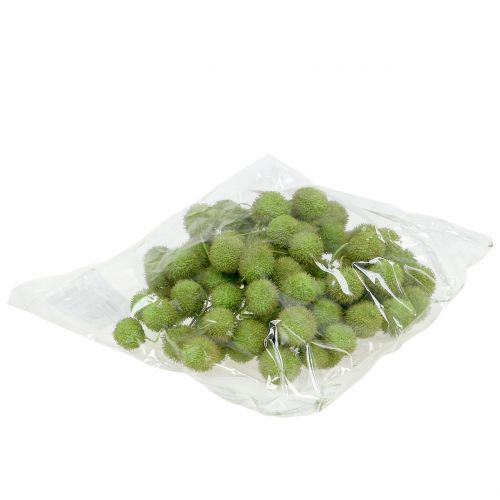 Floristik24 Flyfrugtgrøn 200g