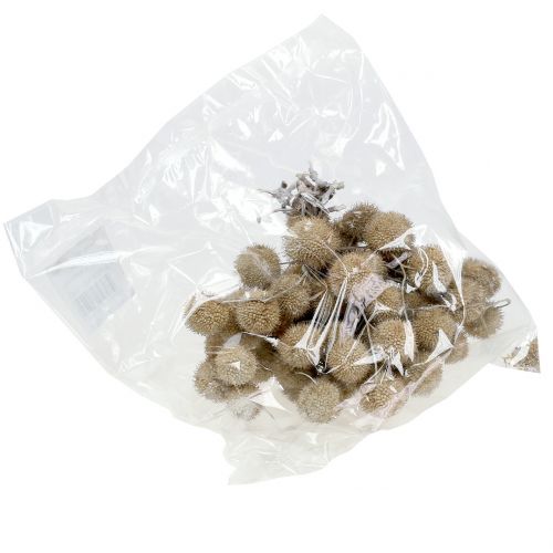 Floristik24 Plane frugter vasket hvide 250g