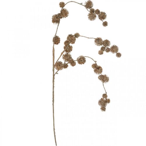 Floristik24 Dekorativt gren platantræ med frugter Efterårsdekoration Kunstigt platantræ Brun L82cm Ø2-4cm