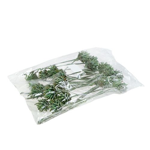 Artikel Plumosum 1 Grøn Frosted 25 stk