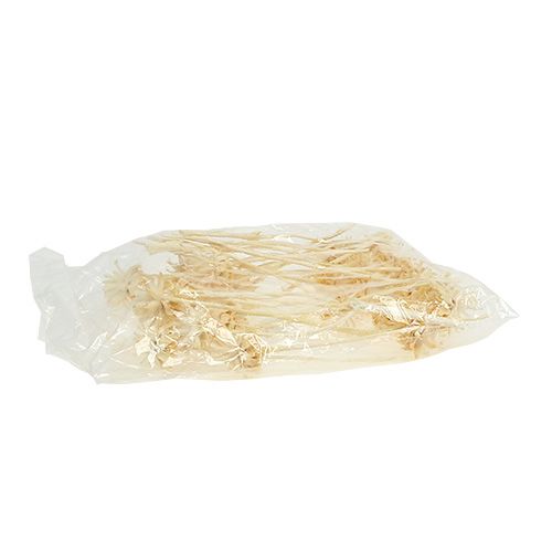 Artikel Plumosum 1 bleget 25 stk