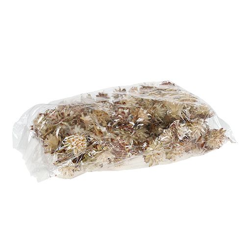 Artikel Kortstilket plumosum 3-6 1kg