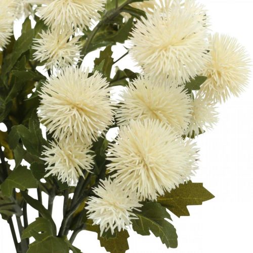 Floristik24 Pompom gren creme deco gren efterår 55cm 4stk