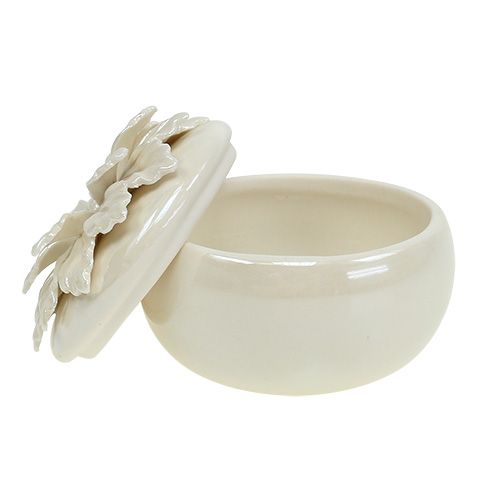 Floristik24 Porcelænskasse creme Ø7,5cm H6cm