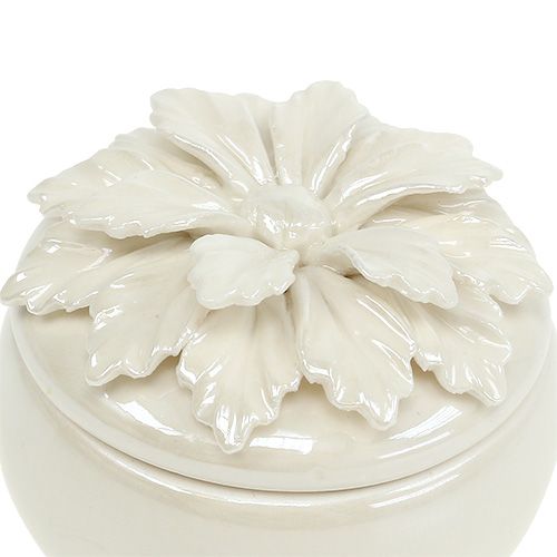 Floristik24 Porcelænskasse creme Ø7,5cm H6cm