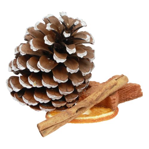 Floristik24 Potpourri juleappelsinskiver kogler kaneltræ 150g