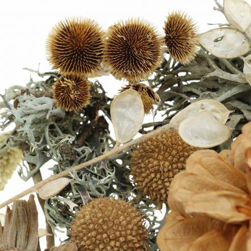 Floristik24 Herbstdeko Mix som håndværkssæt Tørret Bleget 150g