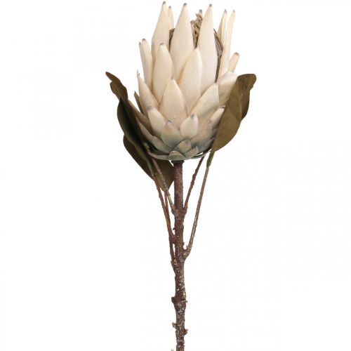 Floristik24 Protea Kunstigt visnet Drylook Beige Brun Grøn 72cm