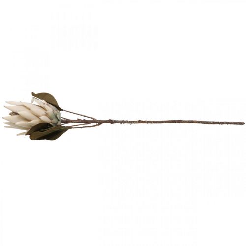Floristik24 Protea Kunstigt visnet Drylook Beige Brun Grøn 72cm