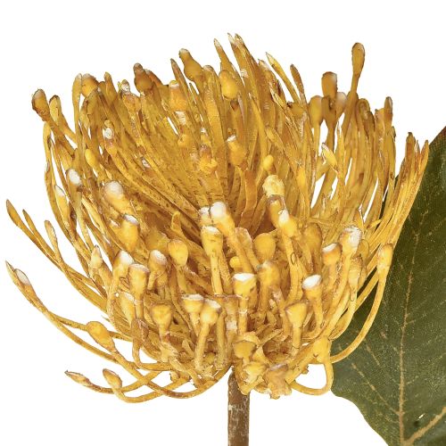 Artikel Protea kunstig Leucospermum nålepude gul 30 cm 6 stk
