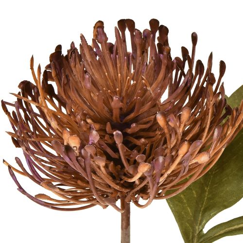 Artikel Protea kunstig nålepude Leucospermum lilla 30 cm 6 stk