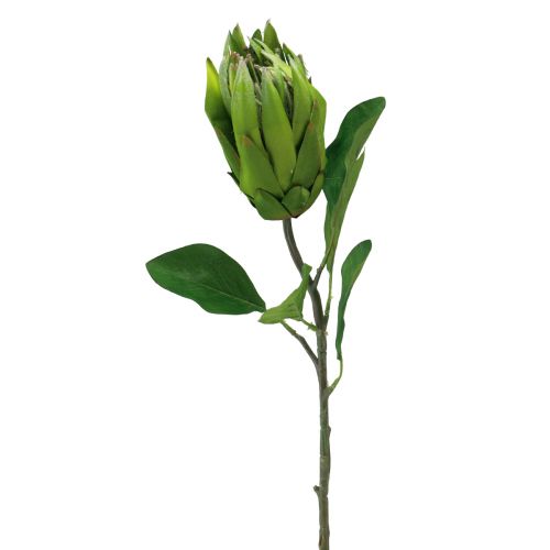 Floristik24 Protea Grøn Rød Kunstig Blomst Kunstgren L65cm Ø5,5cm