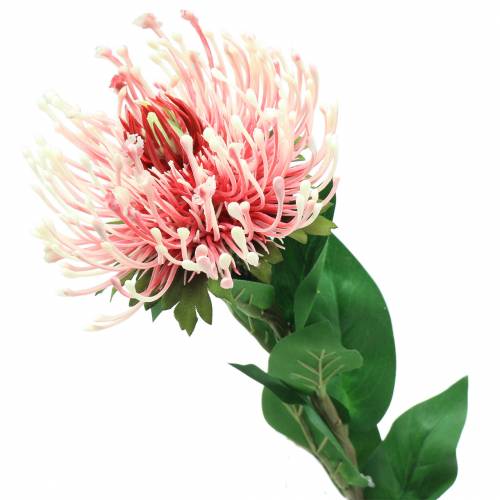 Artikel Protea kunstig lyserød 73cm
