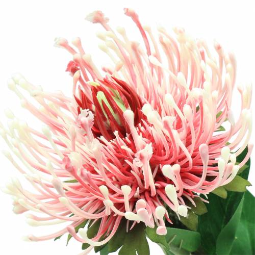 Artikel Protea kunstig lyserød 73cm