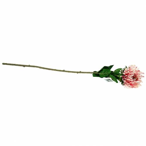 Artikel Protea Artificial Pink 73cm