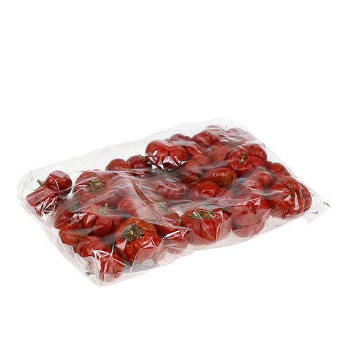 Artikel Græskar Minis Tørret Frugt Rød 250g