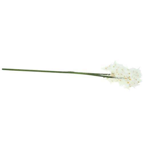 Floristik24 Kunstig eng blomst kæmpe blowball hvid 57cm