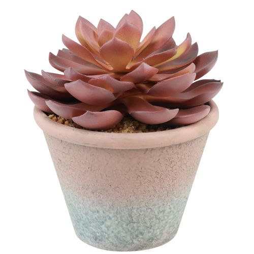 Sukkulent plante i potte Echeveria kunstig rød årgang Ø15cm H16cm