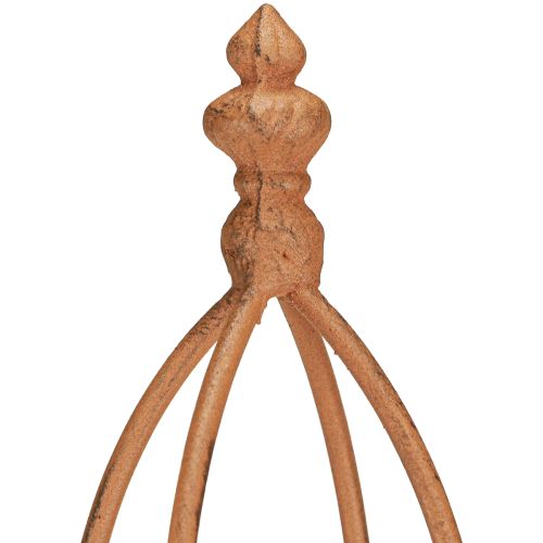 Floristik24 Trellis Metal Rust Look Obelisk 69/86 cm Sæt med 2