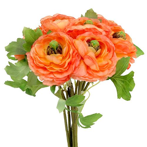 Floristik24 Ranunculus orange 27cm 8stk