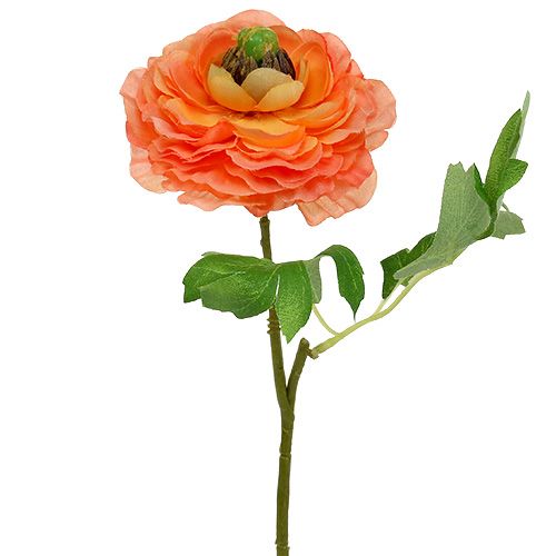 Floristik24 Ranunculus orange 27cm 8stk