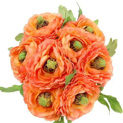 Floristik24 Ranunculus orange 27cm 8stk