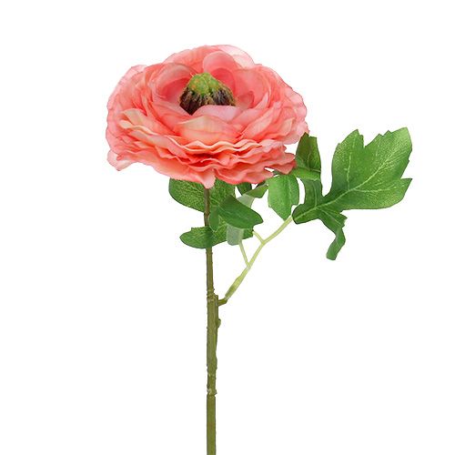 Floristik24 Ranunculus pink-pink 27 cm 8stk