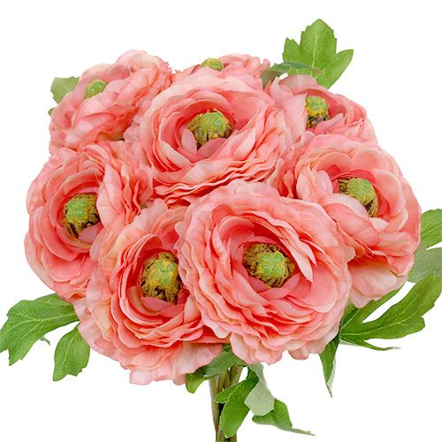 Floristik24 Ranunculus pink-pink 27 cm 8stk