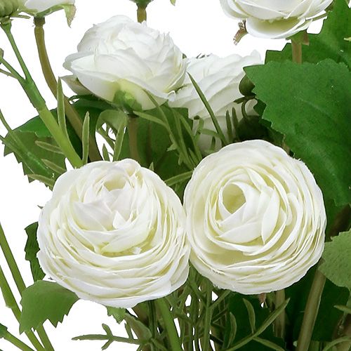 Floristik24 Ranunculus buket hvid 42cm