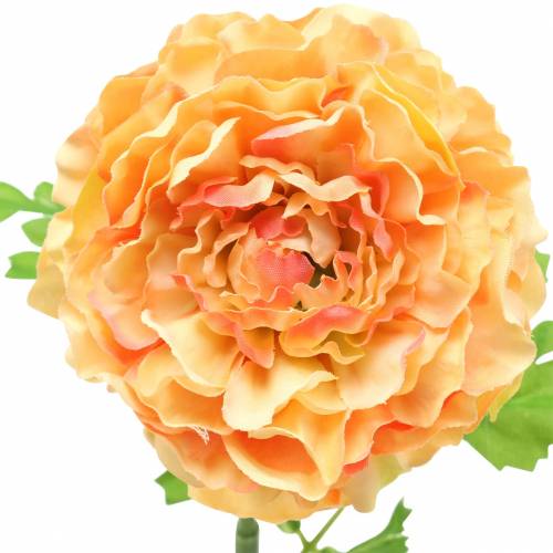 Artikel Ranunculus laks H45cm