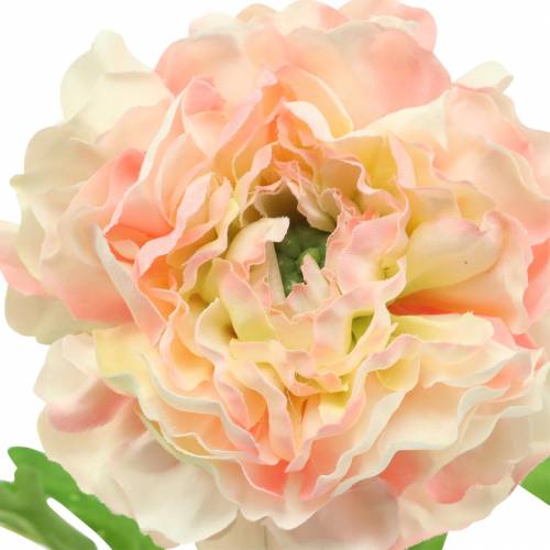 Artikel Ranunculus Peach H45cm