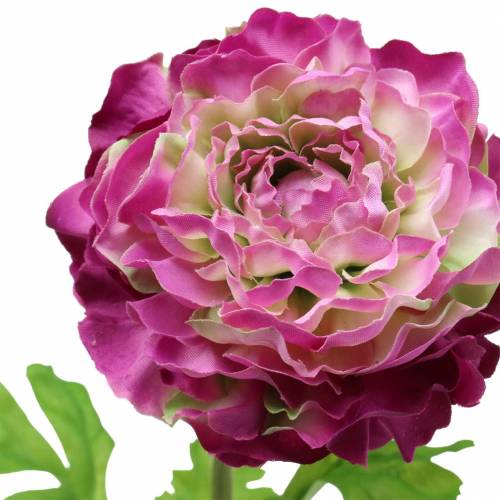 Floristik24 Ranunculus violet kunstig 48 cm